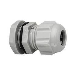 lichtline 478184200034 Lichtline Kabelverschraubung 1 St.