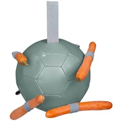 Karottenball Spielball Mistel
