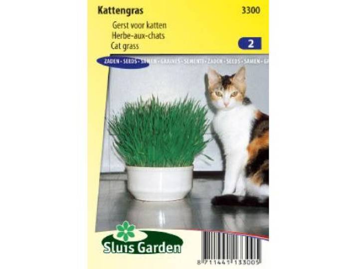 Kattengras zaden