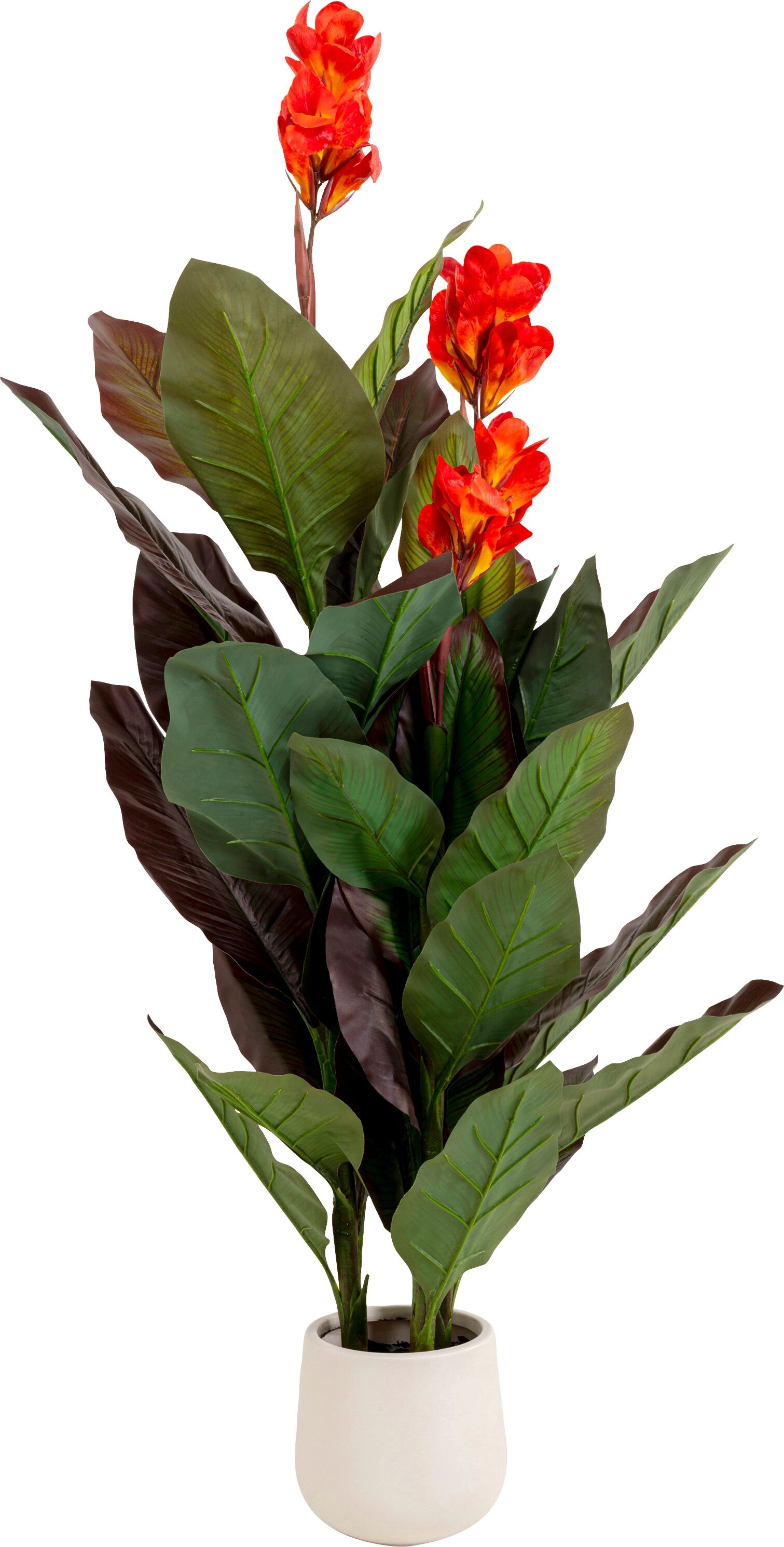 Künstliche Zimmerpflanze KARE DESIGN "Deko-Pflanze Canna Lily", grün, B:55cm H:165cm L:55cm, Kunststoff, Polyester, Stahl, Kunstpflanzen, Künstliche Zimmerpflanze, 115 oder 165 cm Höhe