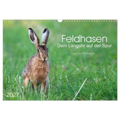 Feldhasen - dem Langohr auf der Spur (Wandkalender 2027 DIN A3 quer), CALVENDO Monatskalender