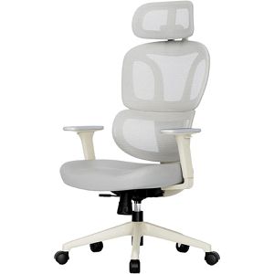FlexiSpot Bürostuhl BS5WG, grau, Stoff / Netz, mit Kopfstütze, bis 136 kg