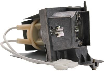 AL™ Series BL-FP195D Lamp & Housing for Optoma Projectors - 90 Day Warranty
