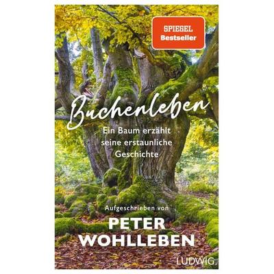 Buchenleben, Gebundene Ausgabe von Peter Wohlleben, Ludwig, 978-3-453-28151-6
