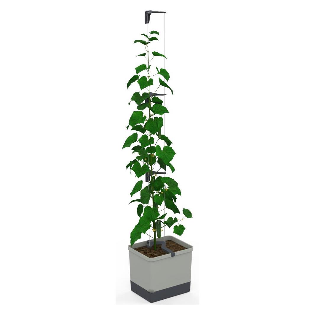 Gusta Garden CURT CUCUMBER Gurkentopf Grau (3.50 cm, 33.50 cm) (100C10)