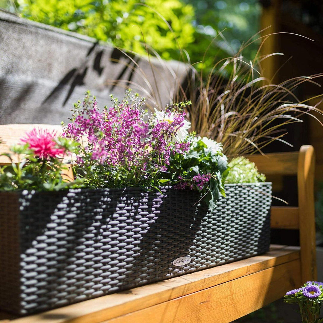 Lechuza Balconera Self-Watering Plastic Outdoor Window Box Planter Black 19cm H x 80cm W x 19cm D