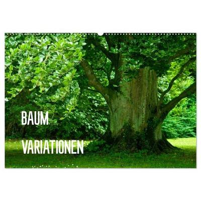 Baum-Variationen (Wandkalender 2027 DIN A2 quer), CALVENDO Monatskalender