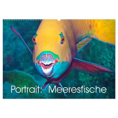 Portrait: Meeresfische (Wandkalender 2026 DIN A2 quer), CALVENDO Monatskalender