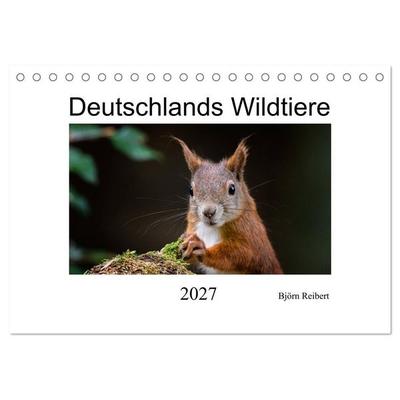 Deutschlands Wildtiere (Tischkalender 2027 DIN A5 quer), CALVENDO Monatskalender
