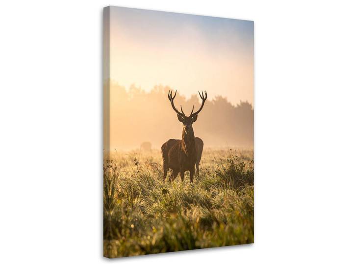 Feeby Leinwandbild Landschaft Hirsch auf der Brunft am Morgen 80x120cm, Beige, Landschaft/Berg, Rechteckig, 80x120 cm, Bilder & Rahmen, Bilder, Leinwandbilder