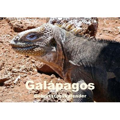 Galápagos Geburtstagskalender (Wandkalender immerwährend DIN A3 quer)