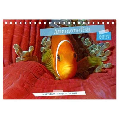 Anemonefish - always busy - always on the move (Desk Calendar 2027 DIN A5 landscape), CALVENDO 12 Month DeskCalendar