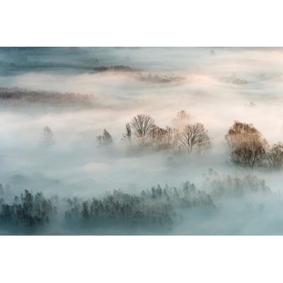 Fototapete PAPERMOON "Photo-Art MARCO GALIMBERTI, WINTERNEBEL", bunt, B:5m L:2,8m, Vlies, Tapeten