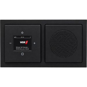 Busch-Jaeger Radio 8215 U-101 DAB+, Set, Unterputz-Radio, Future Line schwarz matt