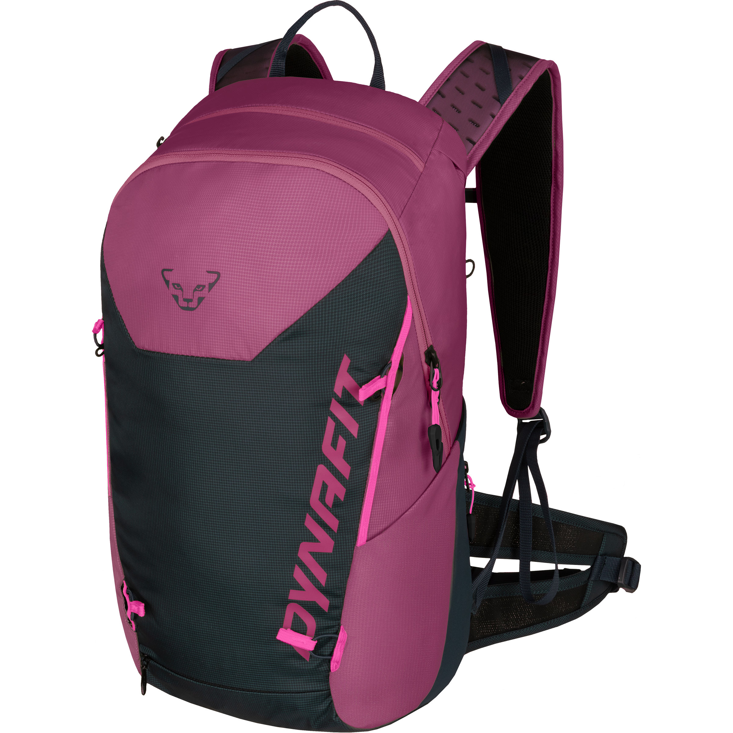 Dynafit Transalper 22 Damen Wanderrucksack schwarz Größe 22L Bergsteigen