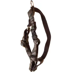 Arka Hundegeschirr (S, Hund, Hundesport, Spazieren), Halsband + Leine