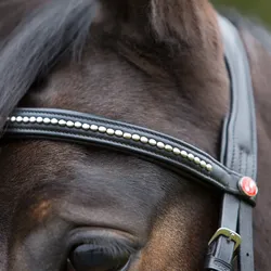 Kieffer Trensenzaum Ultrasoft - schwarz - Pony