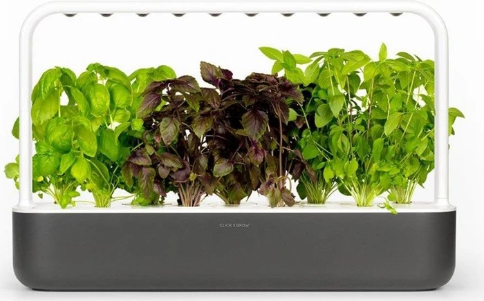 Klicken Sie und wachsen Sie Smart Garden 9 Grey