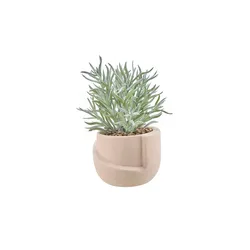 HOME STORY Sukkulente getopft   , creme , Keramik,Dolomite,Kunststoff , Maße (cm): H: 19  Ø: 12.2