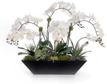 Jenny Silks Real Touch White Orchid Flower Arrangement in Black Planter
