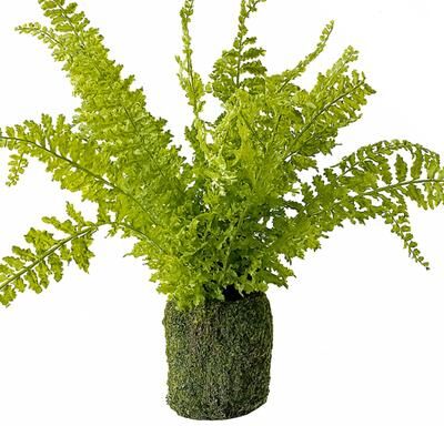 Melrose International "Fern Plant with Mossy Base 21""H"