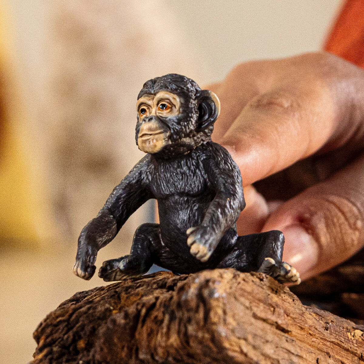 Schleich Wild Life Chimpanzee Cub Figure - 3 cm/4.5 cm/4.2 cm - Suitable for Children Aged 3 to 8 Years