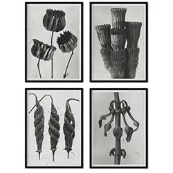 POSTER Set mit 4 exotischer Blätter Blumen und Pflanzen in Grausteinen A3 Schwarzer Rahmen