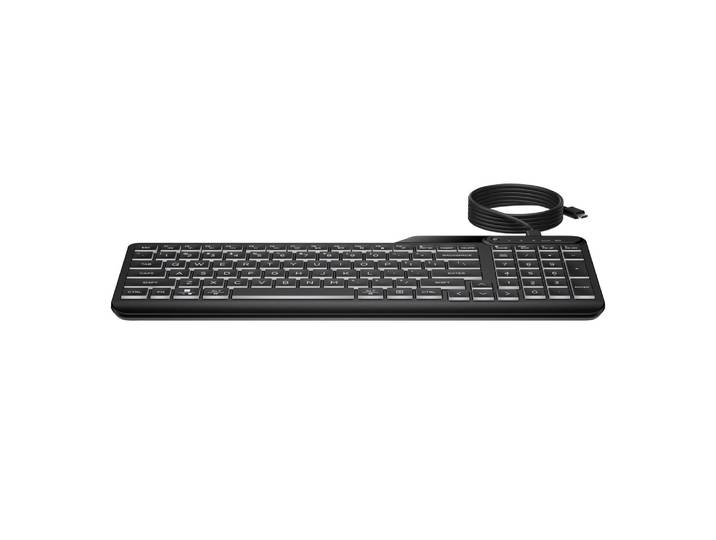 HP STORE 3PL, Taille réelle (100 %), Avec fil, USB, Noir 7N7C0AA#ABF