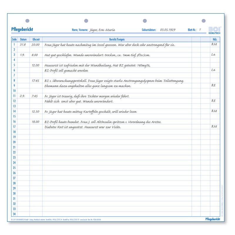 BOI Formular Pflegebericht 9206-00304