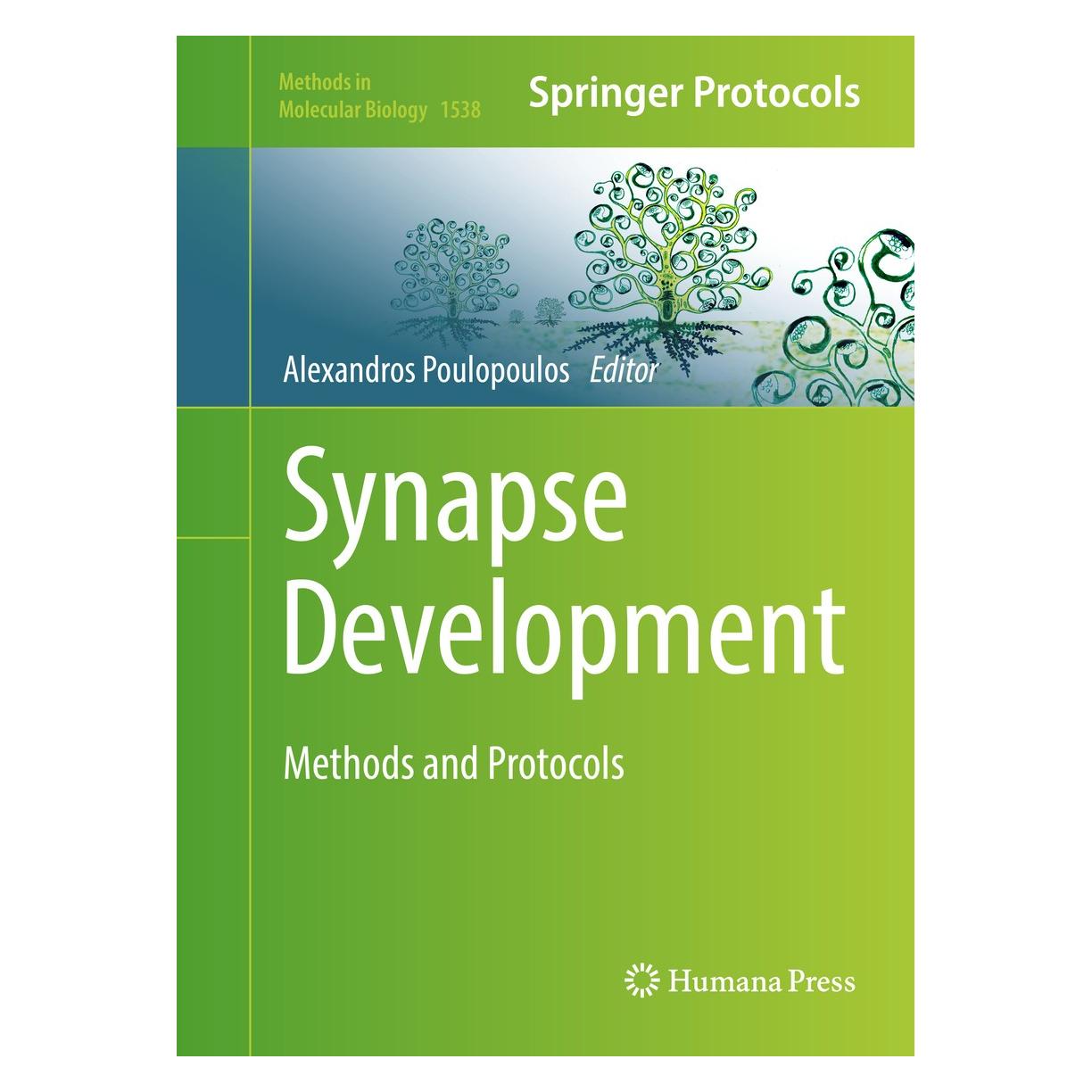 Springer Synapse Development (Englisch, Hardcover, Alexandros Poulopoulos) (9781493966868)