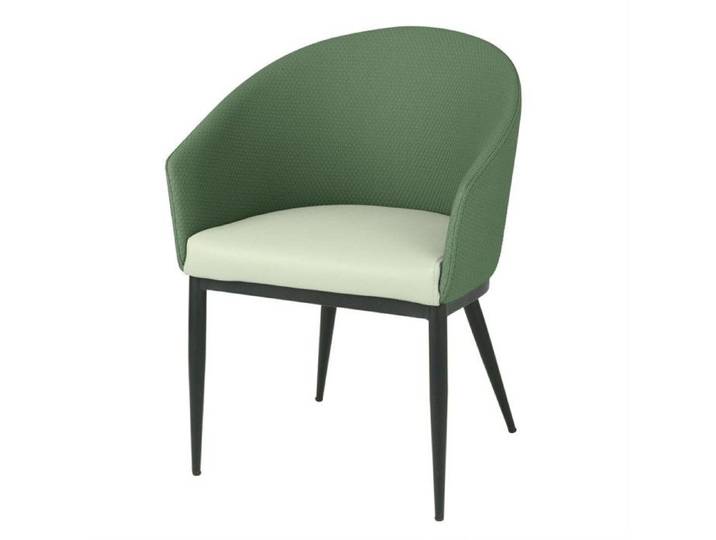 Fauteuils d'Intérieur Meridian - Lot de 2 - Bolero - Vert - l530- L570- P550- h- PVC