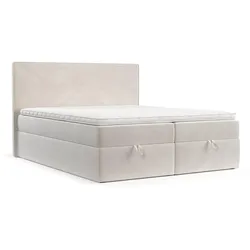BOXBETT Velma 160/200 cm Creme im Paros Stoff
