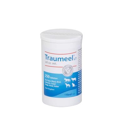 Traumeel LT ad us.vet.Tabletten 250 St Tabletten