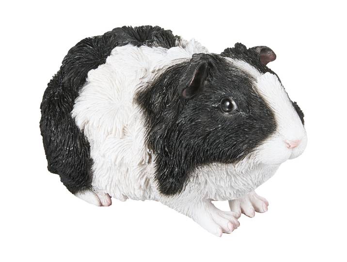 Vivid Meerschweinchen baby 16.5 x 9 x 9 cm