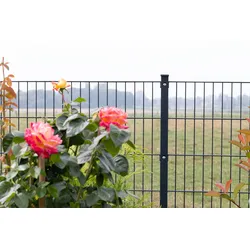 dz Zaunset-VAP-MORITZ-40m-1630-ZINK-DV