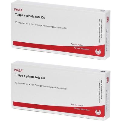Tulipa e planta tota D 6 Ampullen 2x 2x10x1 ml