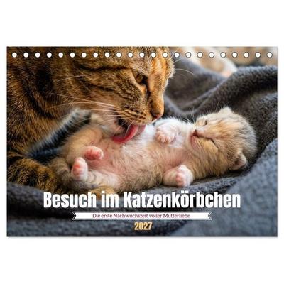 Besuch im Katzenkörbchen (Tischkalender 2027 DIN A5 quer), CALVENDO Monatskalender