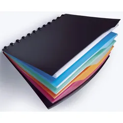 DURABLE Ringmappe schwarz/bunt