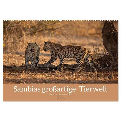 Sambias großartige Tierwelt (Wandkalender 2026 DIN A2 quer), CALVENDO Monatskalender