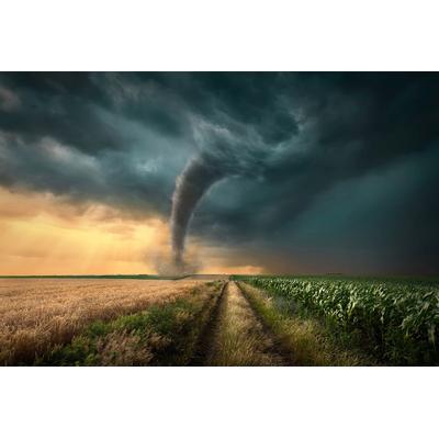 Papermoon "Wirbelstum in Feld"