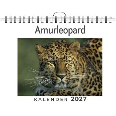 Amurleopard