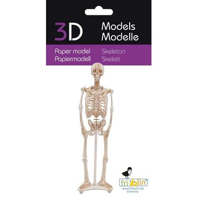 3D-Modell, Skelett