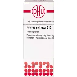 Prunus Spinosa D12 10 G