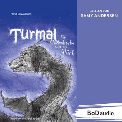 Turmal - Timo Schwagerick, Audio, 9783696306038
