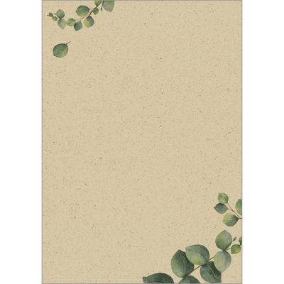 Sigel Motiv-Papier A4 100g Graspapier Eucalyptus 100 Blatt