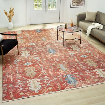 KALATY Ashford Distressed Vintage Area Rug