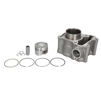 RMS Zylinderkopf 10 008 0720