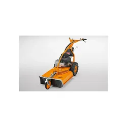 AS Motor AS 65 4T Briggs & Stratton Allmäher