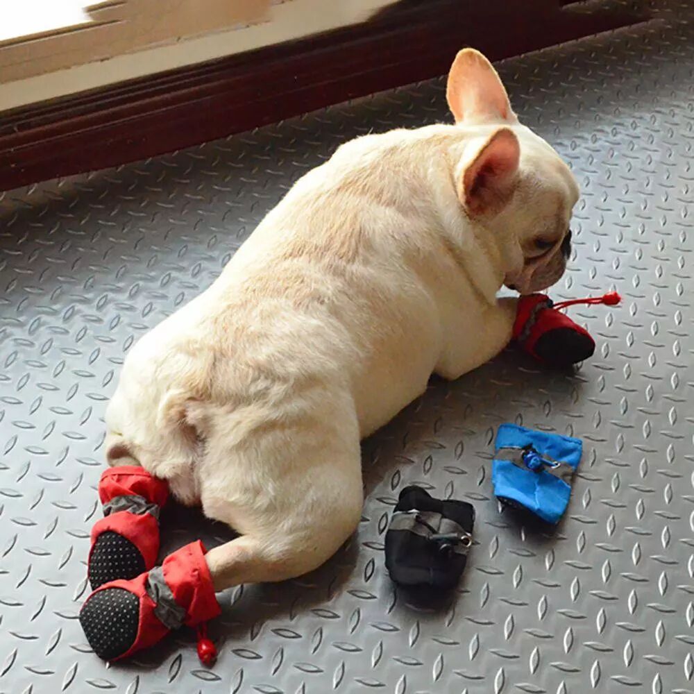 INF 4 pièces Bottes antidérapantes pour petits chiens et chats