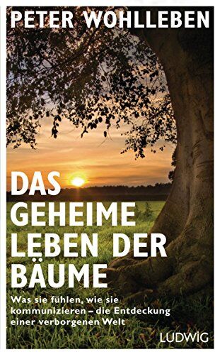 Peter Wohlleben - Das geheime Leben der Bäume: Was sie fühlen, wie sie kommunizieren - die Entdeckung einer verborgenen Welt - Preis vom 10.10.2026 11:48:34 h